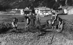 Donne che cavano patate a Fondovalle (1941)
